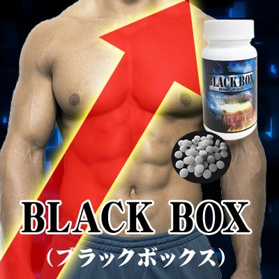 【欠品　次回納期8月下旬頃予定】BLACK BOX(ブラックボックス)　（K）