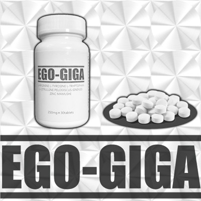 【1~2営業日】EGO－GIGA【エゴギガ】（K）